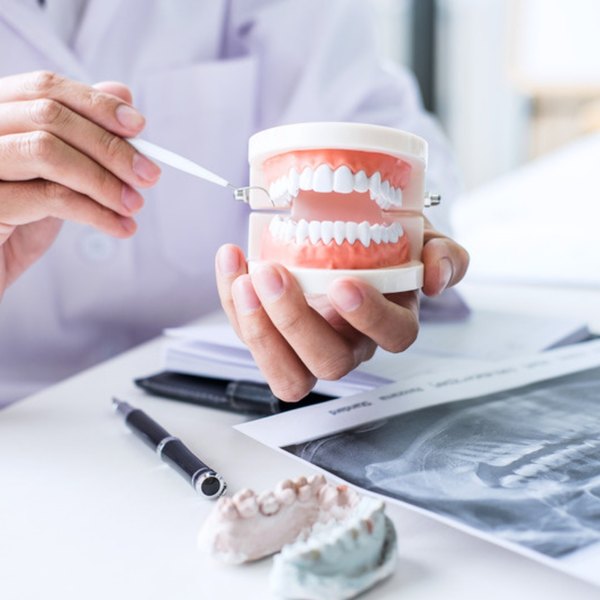 Dentist explaining treatment on a dental model